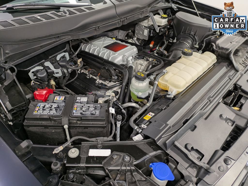 Used 2025 Ford F150 Raptor w/ Equipment Group 803A Raptor R image 33