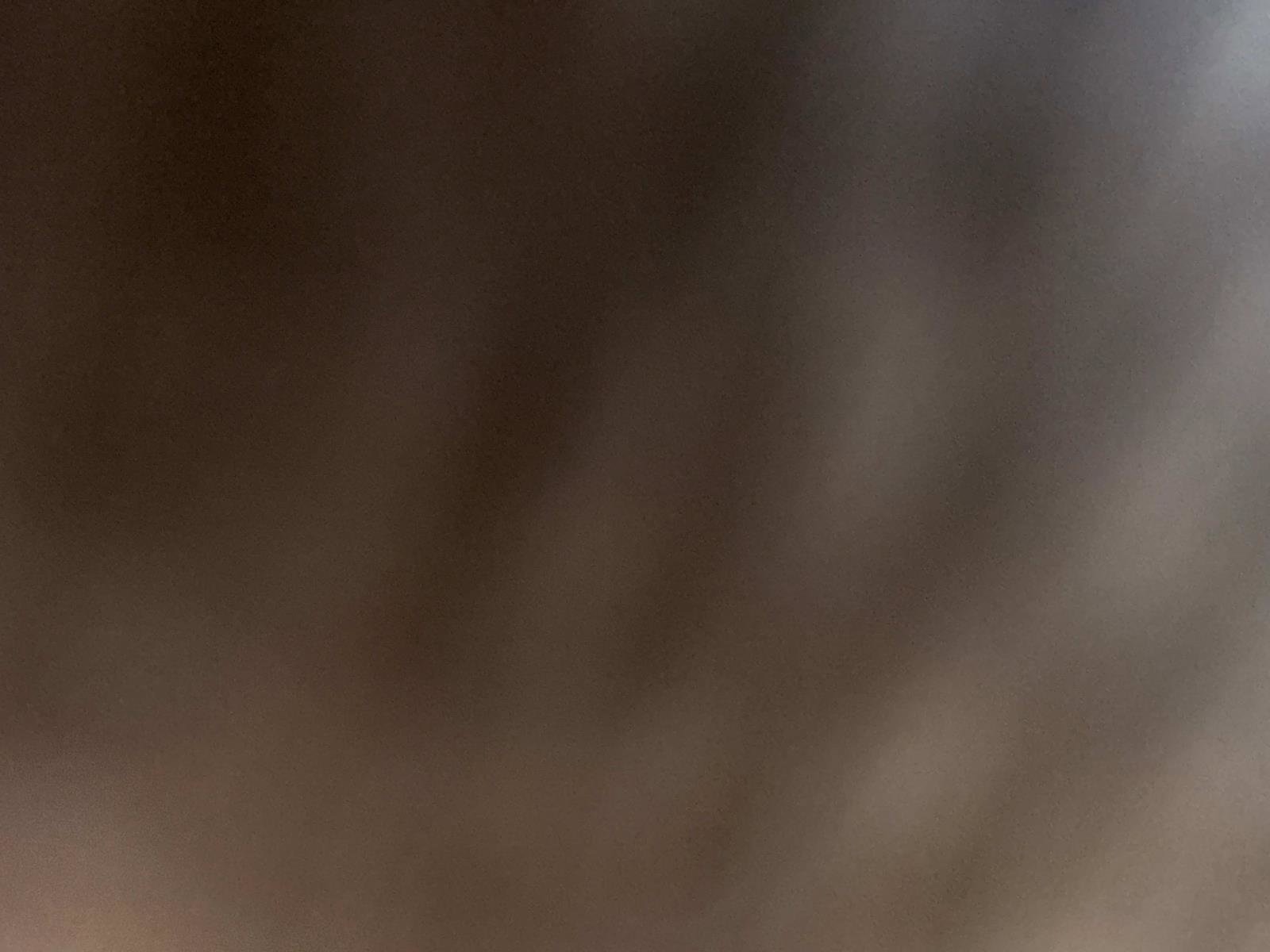 Used 2019 Honda Odyssey EX-L image 25