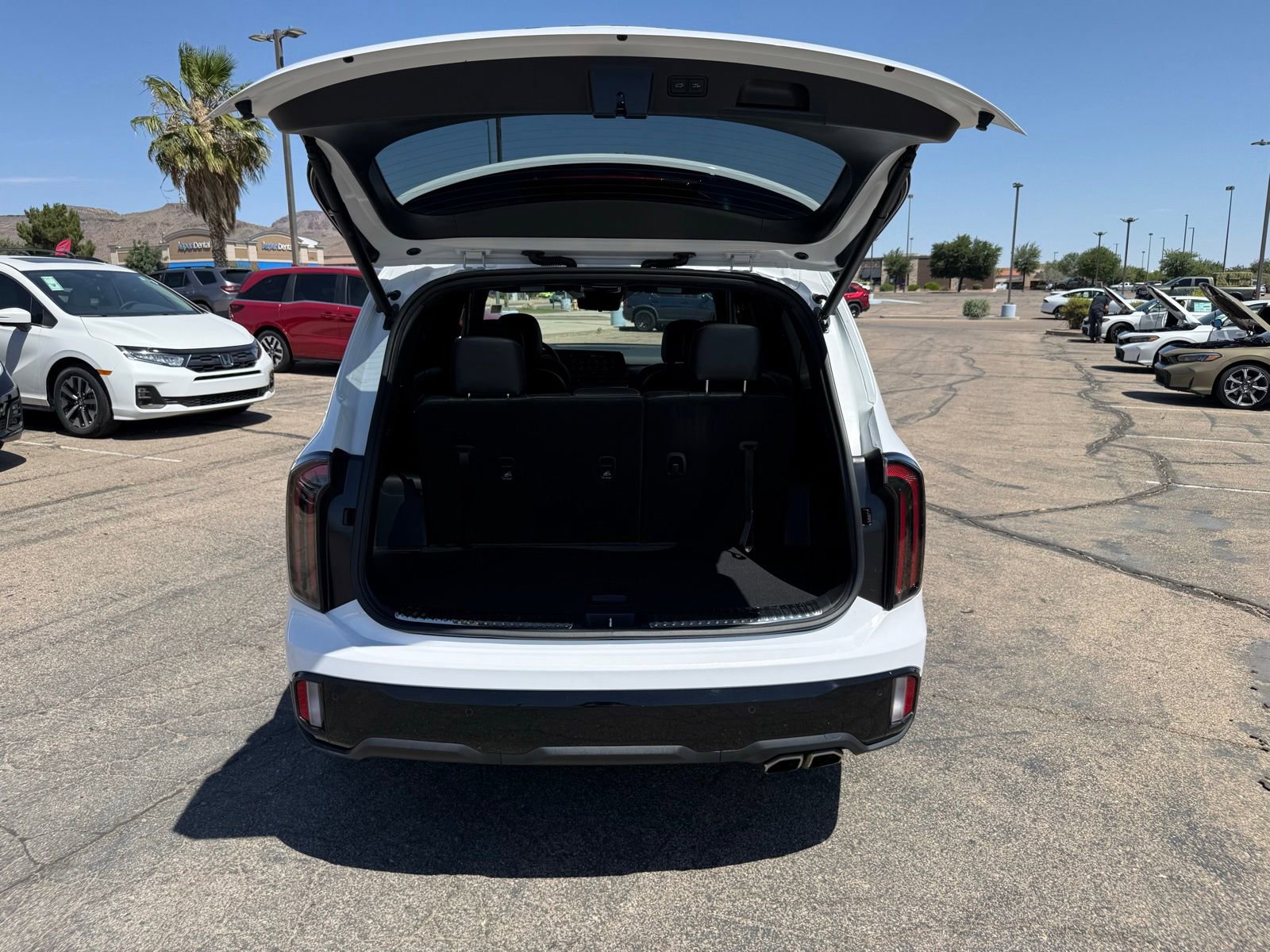 Used 2025 Kia Telluride SX Prestige X-Line AWD/4WD image 46