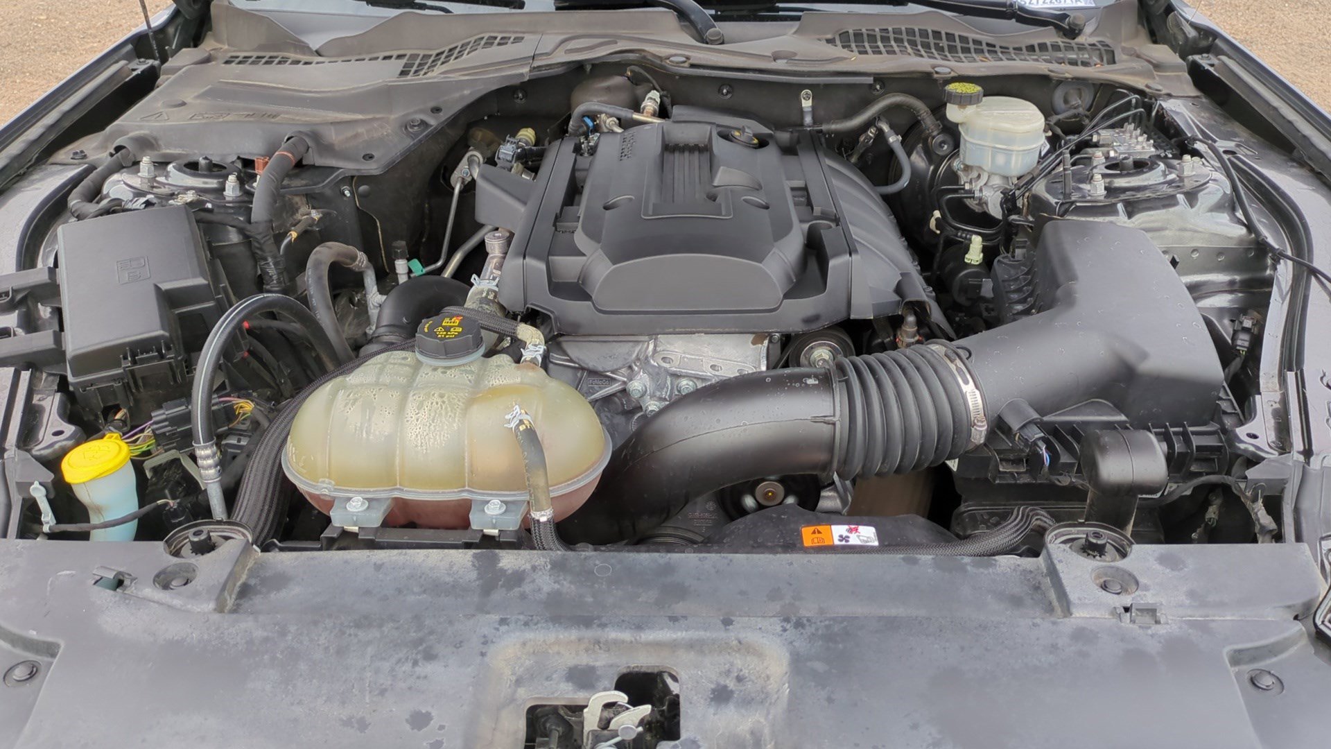 Used 2017 Ford Mustang Coupe image 30