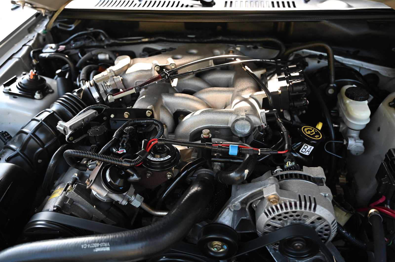 Used 2000 Ford Mustang Coupe RWD image 19