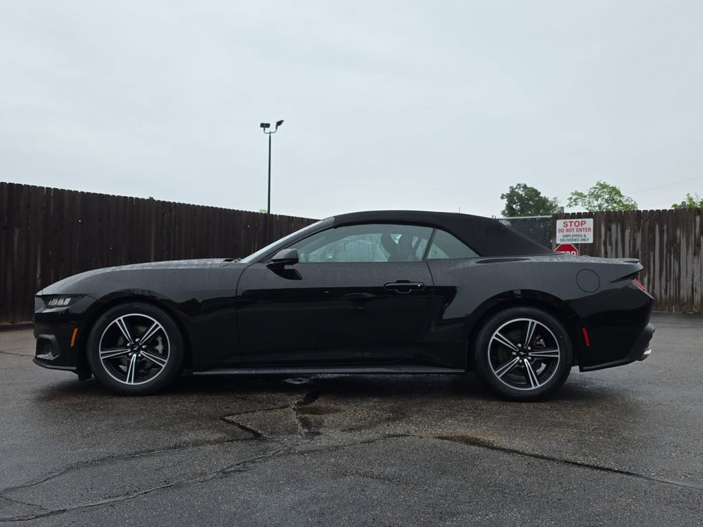 Used 2025 Ford Mustang Premium RWD image 2