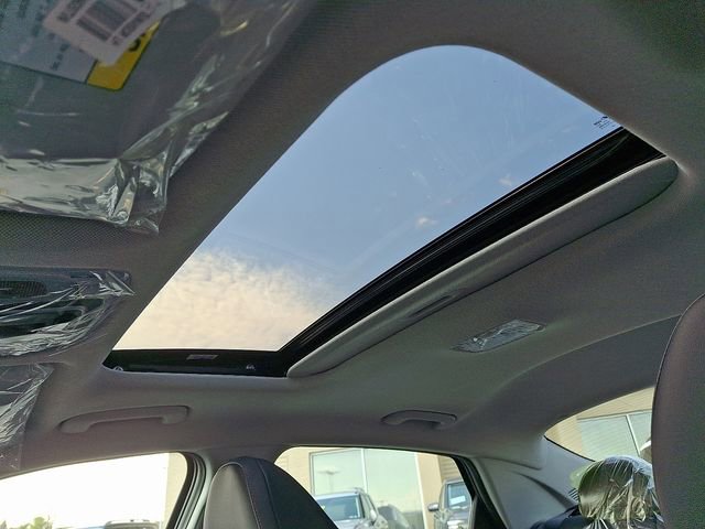 New 2026 Hyundai Elantra Limited image 6