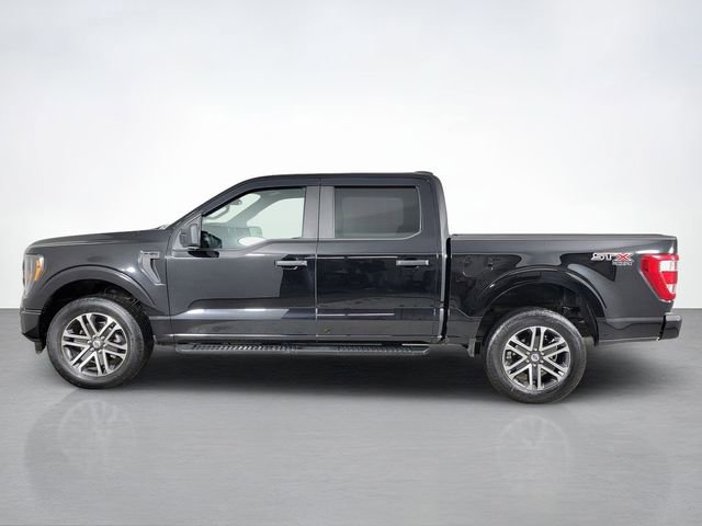 Certified 2023 Ford F150 XL w/ STX Appearance Package image 6