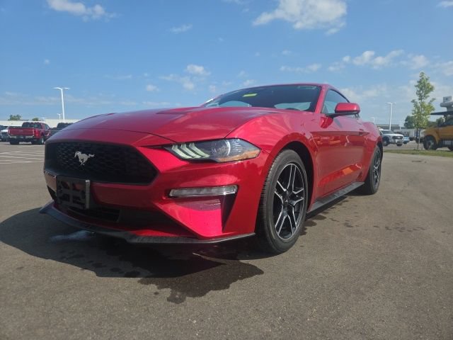 Used 2023 Ford Mustang Coupe w/ Equipment Group 101A RWD image 2
