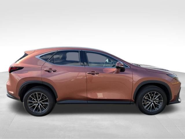 Used 2025 Lexus NX 350 AWD w/ Cold Area Package image 8