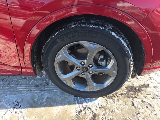 Used 2024 Ford Escape ST-Line w/ Cold Weather Package image 4