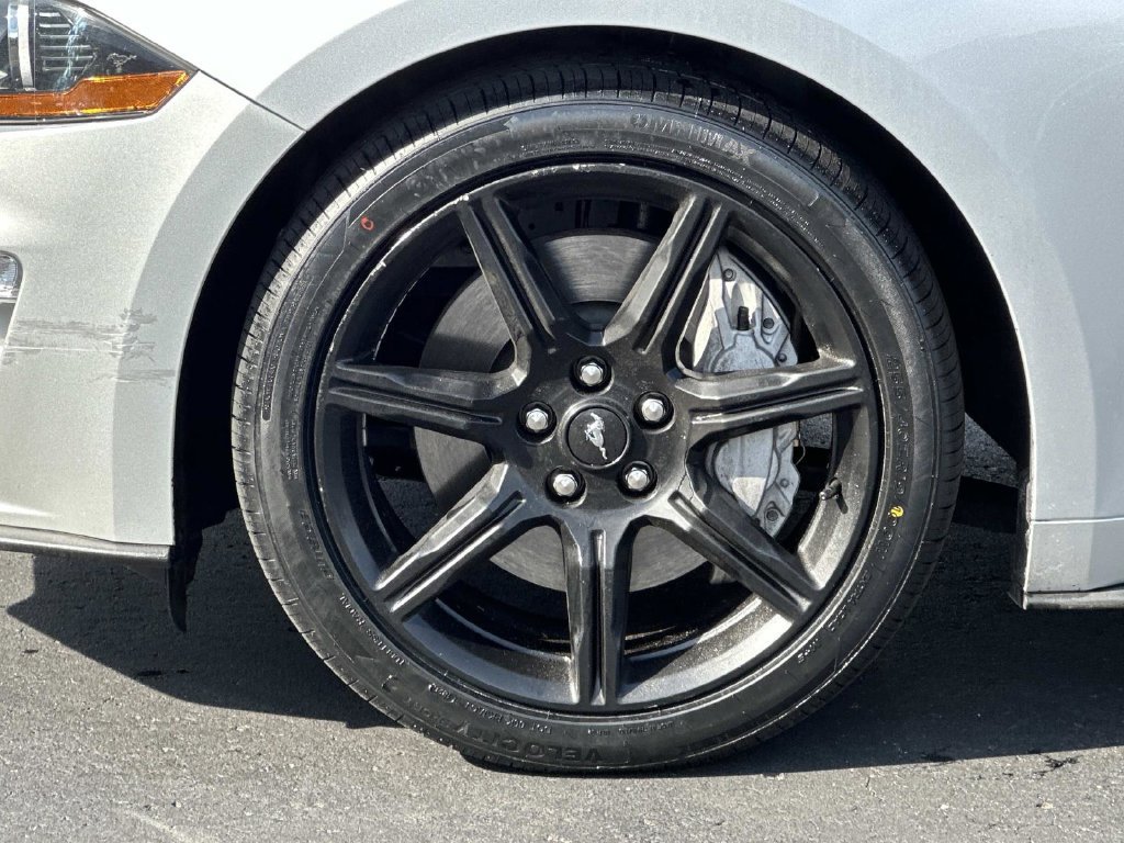 Used 2019 Ford Mustang GT Premium w/ Equipment Group 401A RWD image 9
