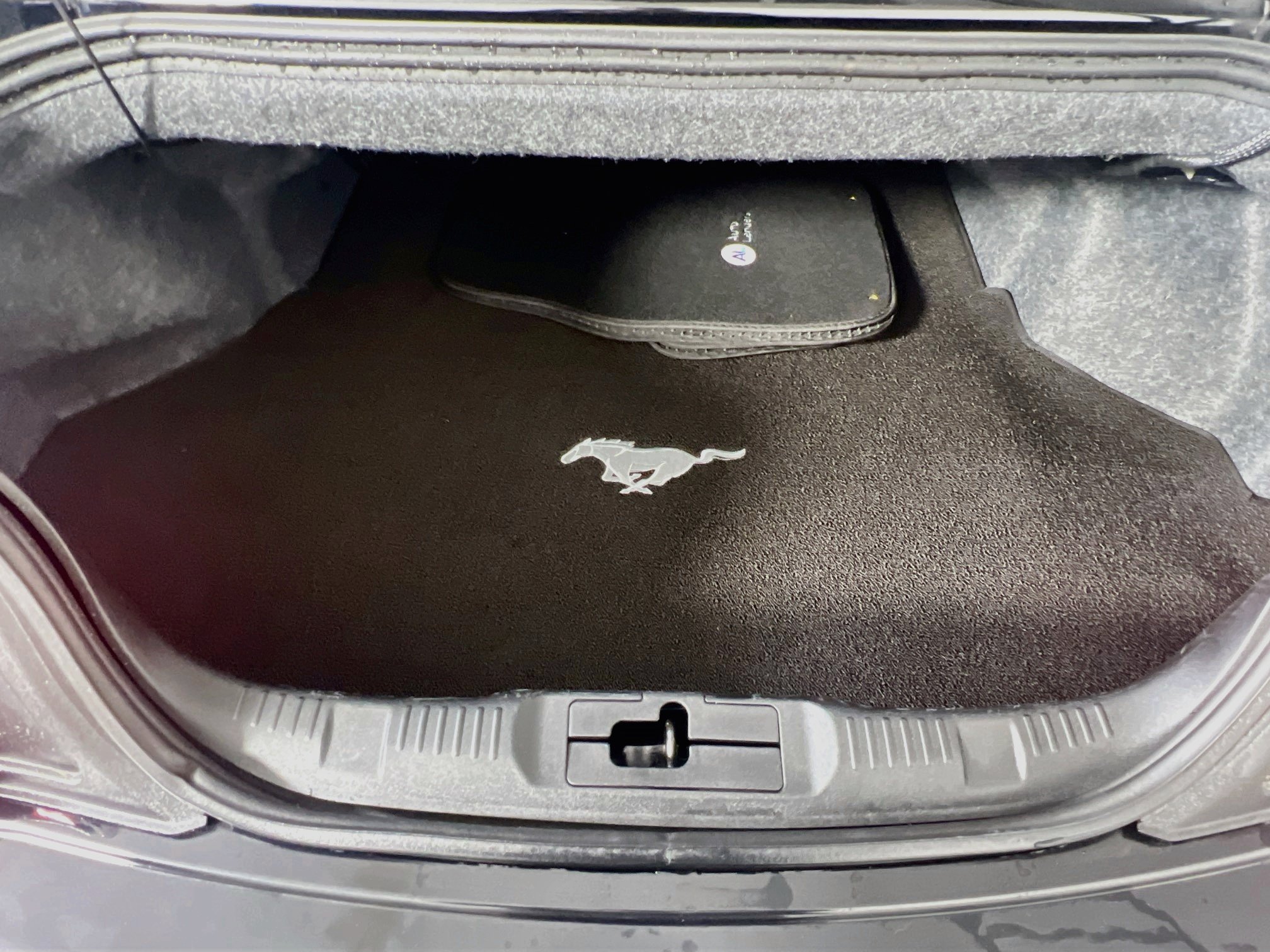 Used 2019 Ford Mustang GT Premium w/ Equipment Group 401A RWD image 25