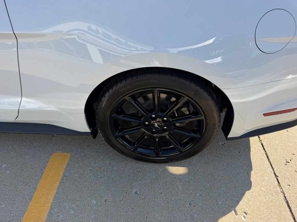 Used 2016 Ford Mustang GT Premium w/ Equipment Group 401A RWD image 5