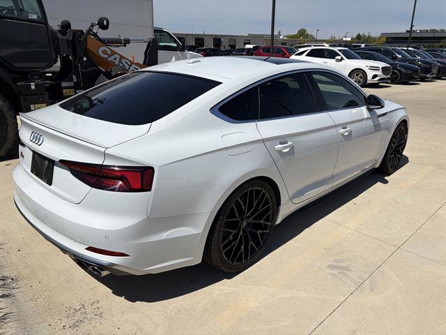 Used 2019 Audi S5 Premium Plus w/ Premium Plus AWD/4WD image 2