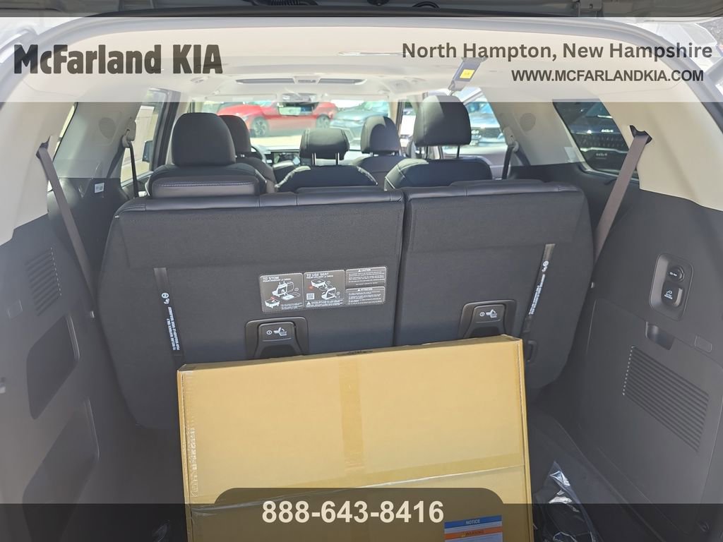 New 2026 Kia Carnival SX Prestige image 20