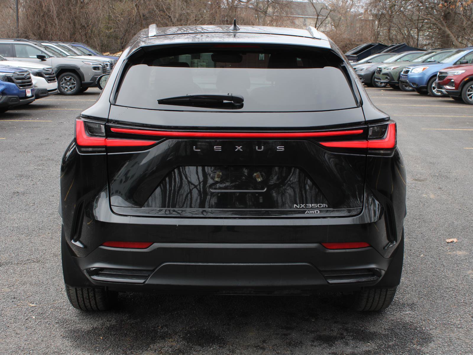 Used 2024 Lexus NX 350h AWD w/ Cold Area Package image 6