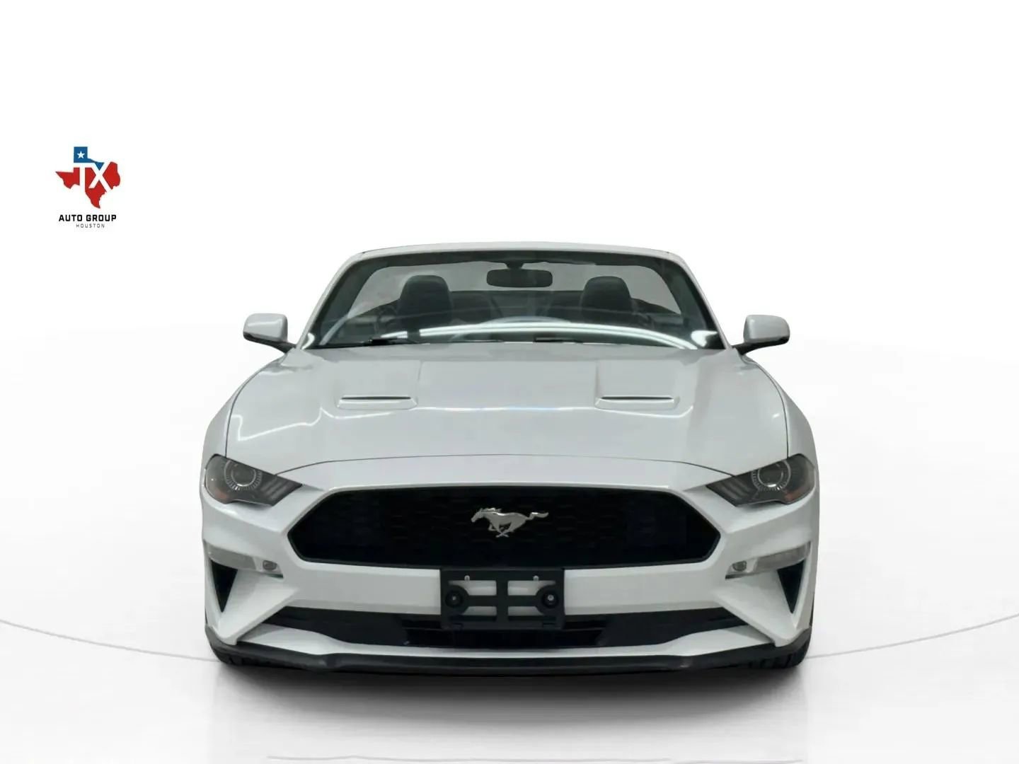 Used 2019 Ford Mustang Premium image 7