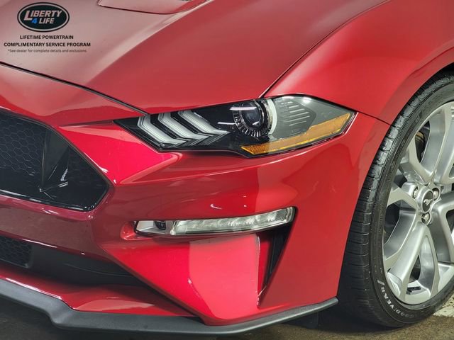 Used 2023 Ford Mustang GT Premium w/ Equipment Group 401A RWD image 9