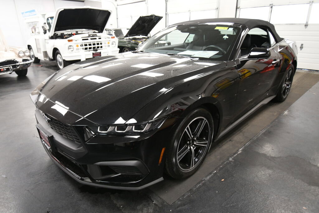 Used 2025 Ford Mustang Premium RWD image 4