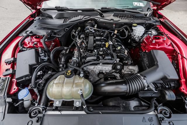 Used 2021 Ford Mustang Premium w/ Equipment Group 201A RWD image 66