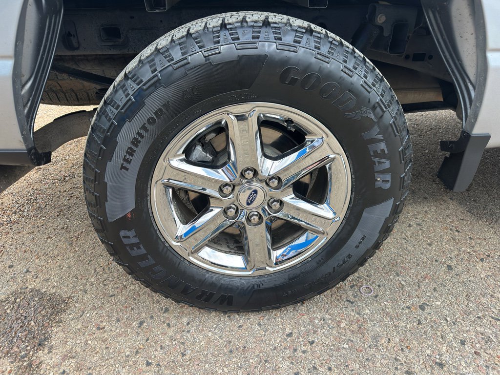 Used 2025 Ford F150 XLT w/ Equipment Group 301A Standard image 16