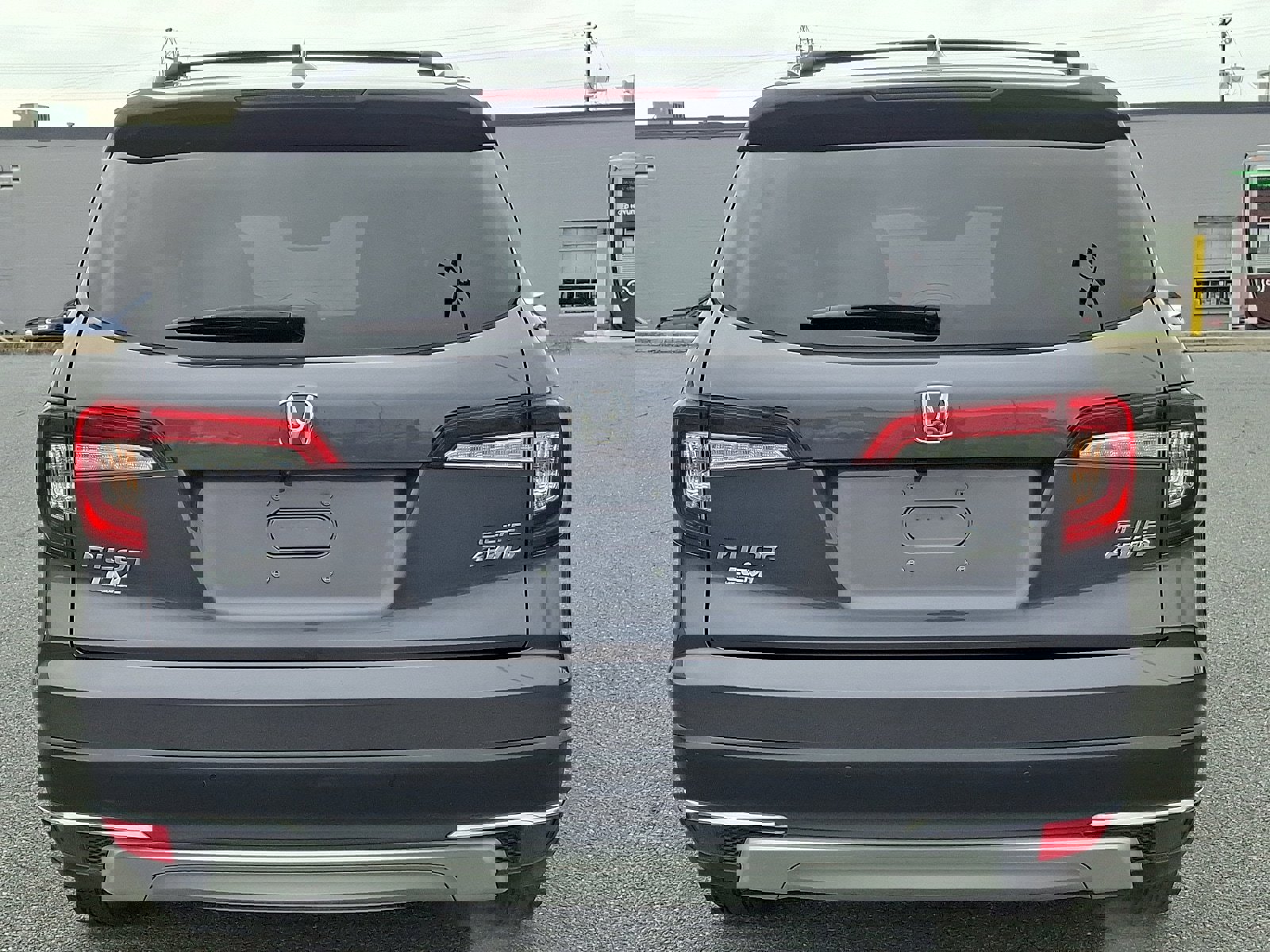 Used 2019 Honda Pilot Elite image 6