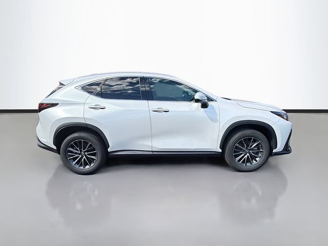 Used 2025 Lexus NX 350h AWD w/ Cold Area Package image 8