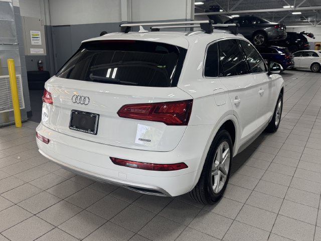 Used 2019 Audi Q5 Premium Plus w/ Convenience Package AWD/4WD image 5