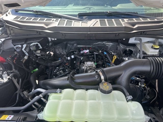 New 2025 Ford F150 STX w/ Equipment Group 200A image 33