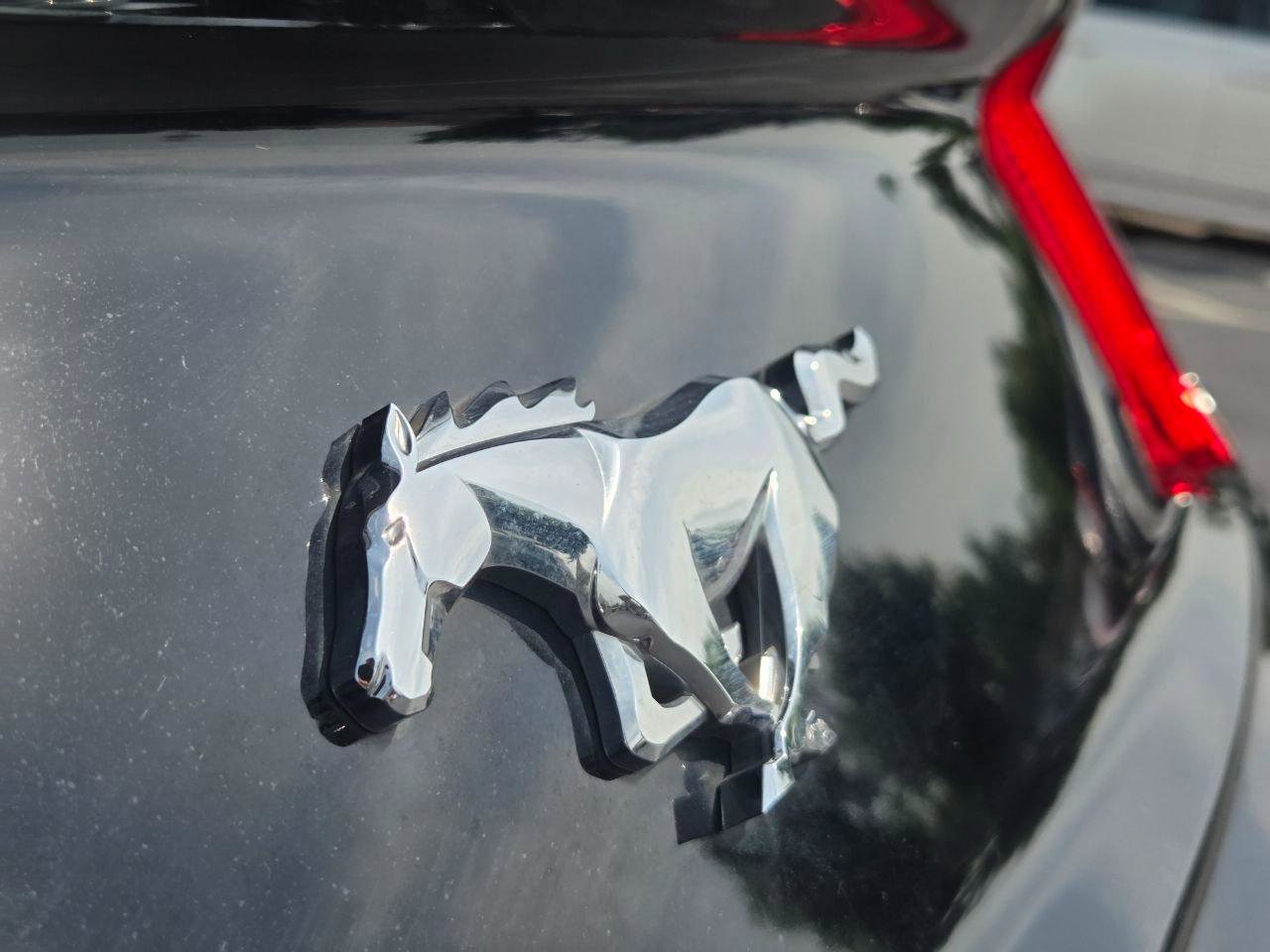 Used 2019 Ford Mustang Coupe w/ Equipment Group 101A RWD image 8