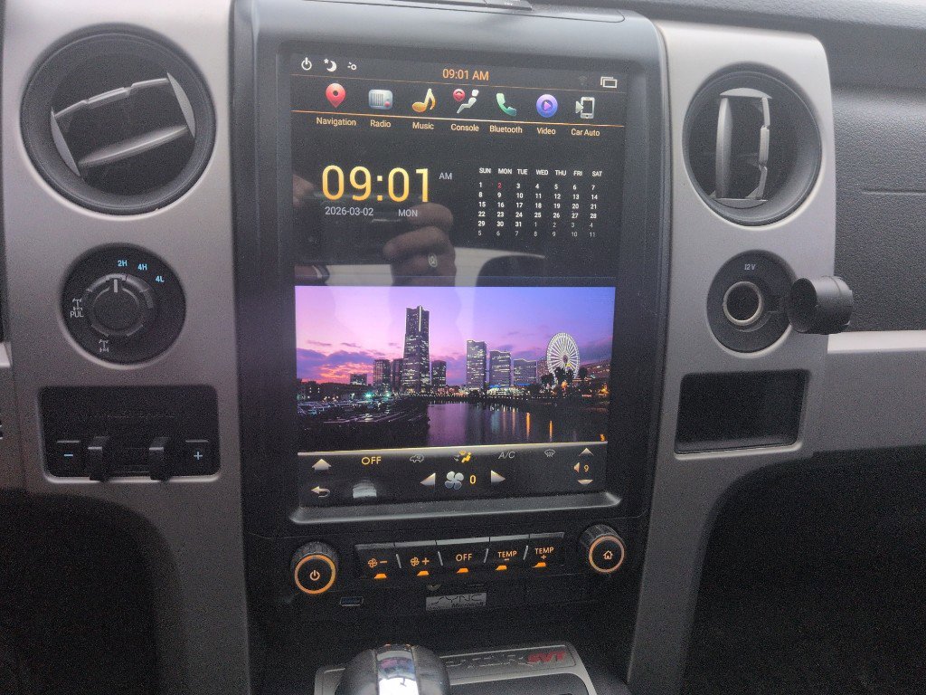 Used 2010 Ford F150 Raptor image 10