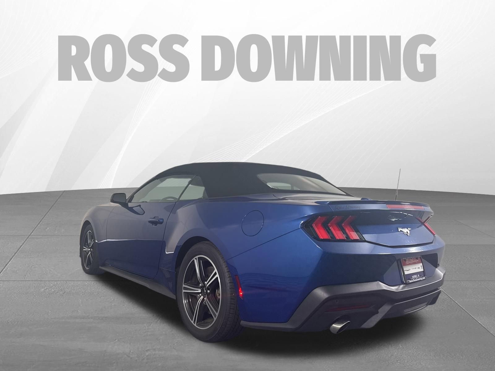 Used 2024 Ford Mustang Premium image 6