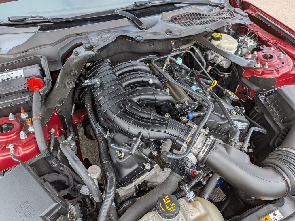 Used 2017 Ford Mustang Convertible w/ Equipment Group 051A image 12