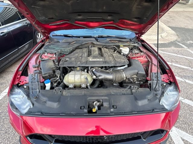 Used 2021 Ford Mustang GT Premium w/ Equipment Group 401A RWD image 8