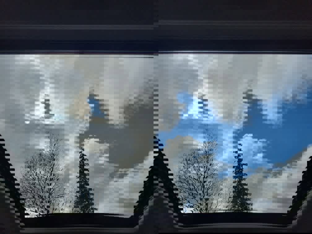 Used 2023 Subaru Forester Premium image 21