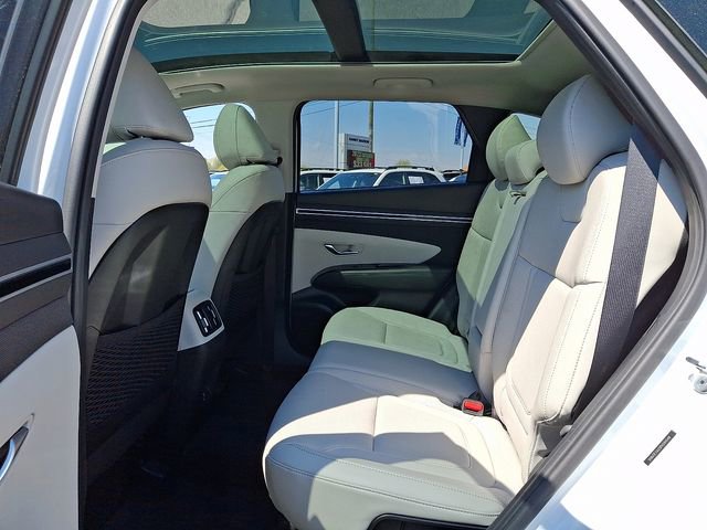 Used 2023 Hyundai Tucson Limited image 10