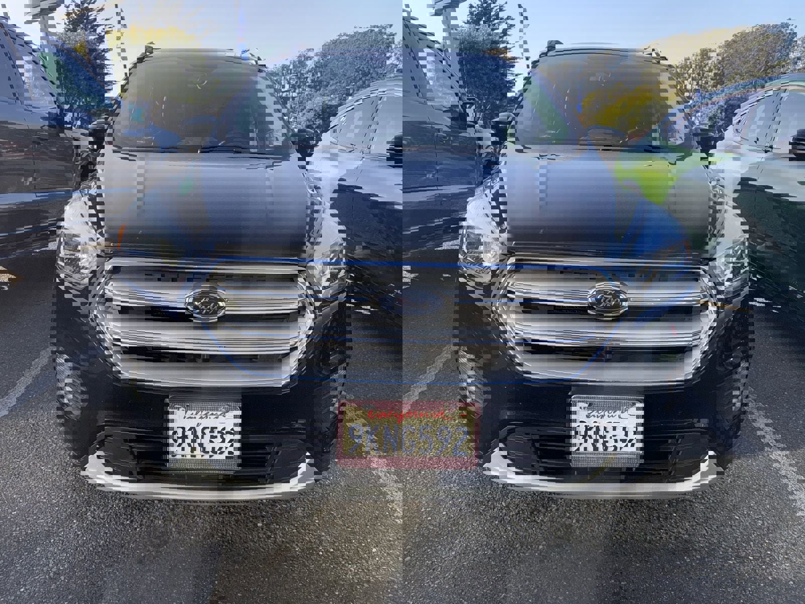 Used 2019 Ford Escape SEL image 2