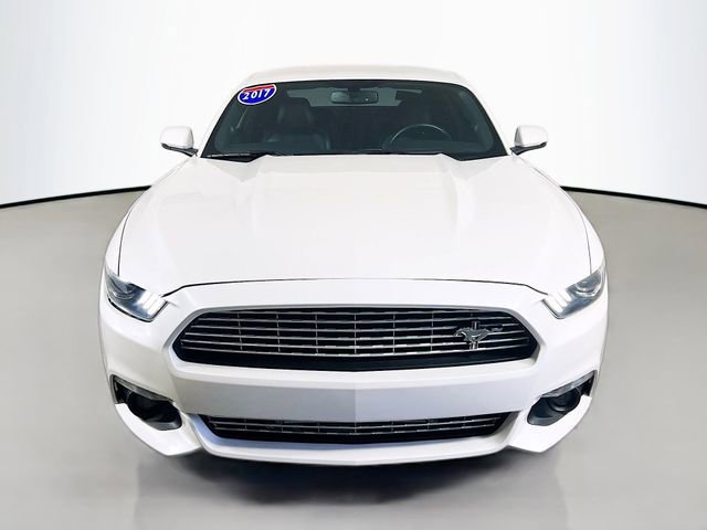 Used 2017 Ford Mustang Premium w/ Equipment Group 201A image 3