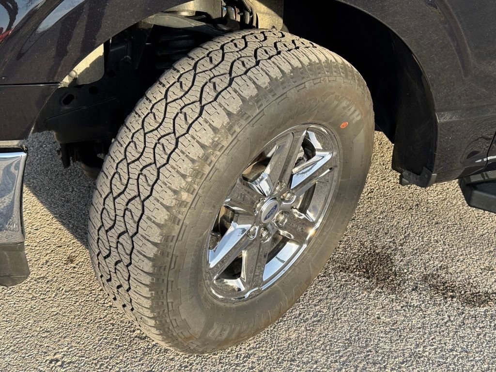 Used 2025 Ford F150 XLT w/ Equipment Group 301A Standard image 37