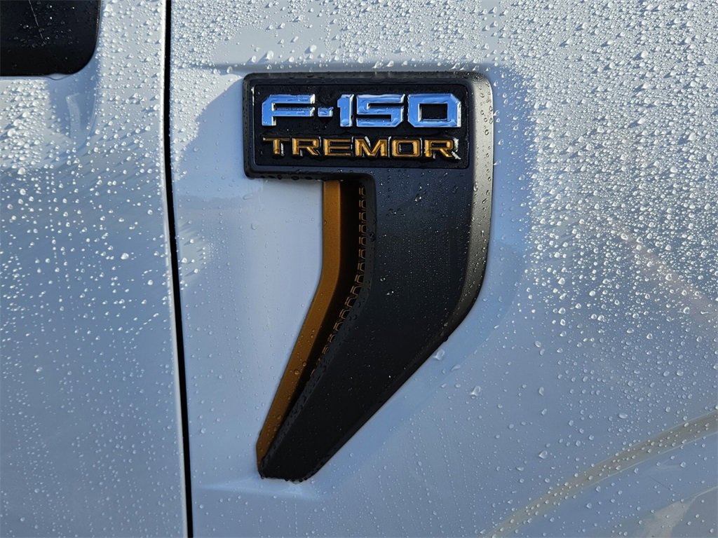 New 2025 Ford F150 Tremor image 16