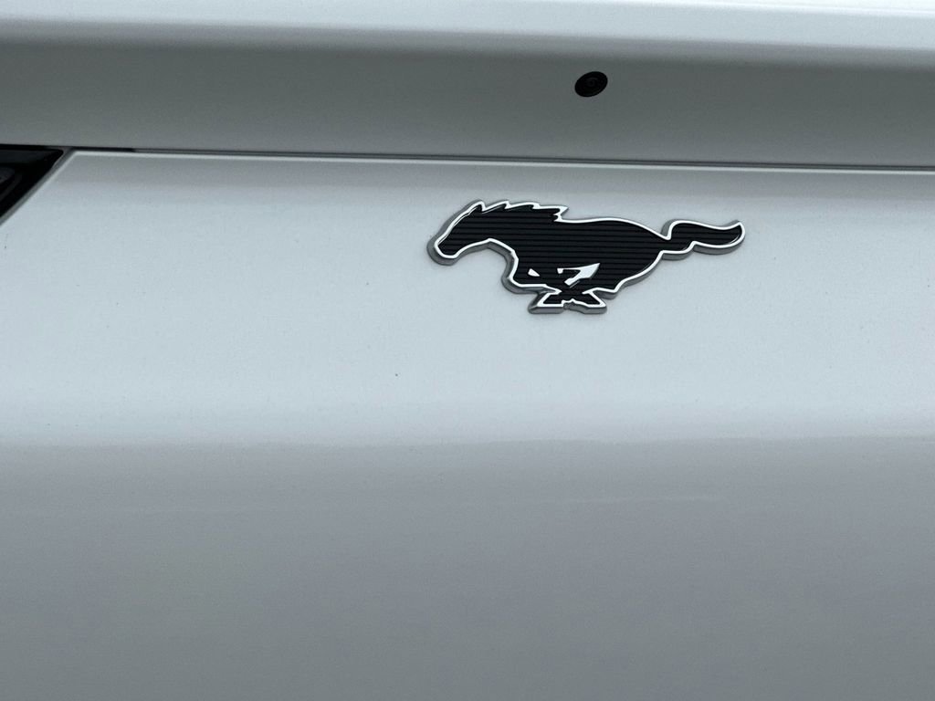Certified 2025 Ford Mustang Mach-E Premium image 26
