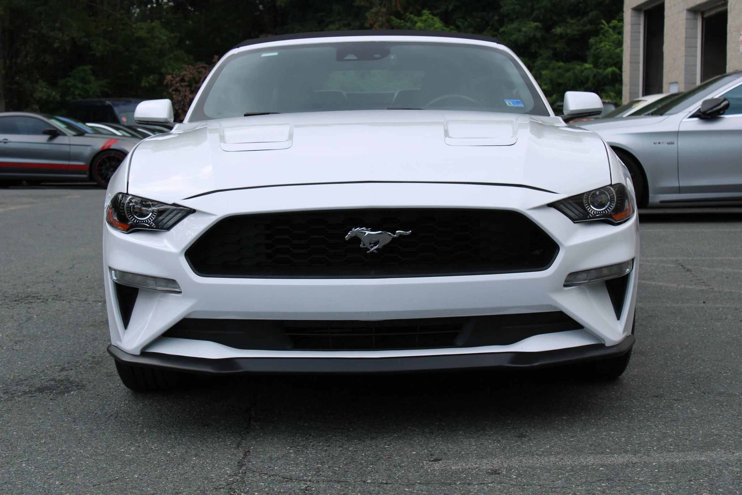 Used 2022 Ford Mustang Premium RWD image 4