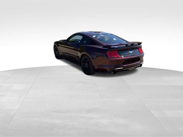 Used 2018 Ford Mustang Premium w/ Ecoboost Performance Package RWD image 9