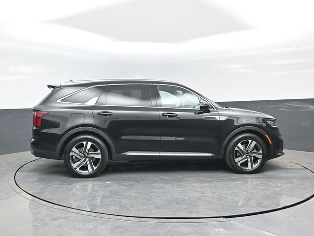 Used 2023 Kia Sorento SX Prestige image 3
