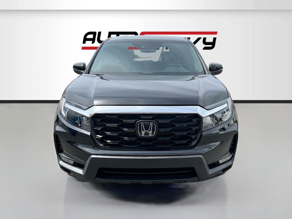 Used 2025 Honda Passport EX-L image 2