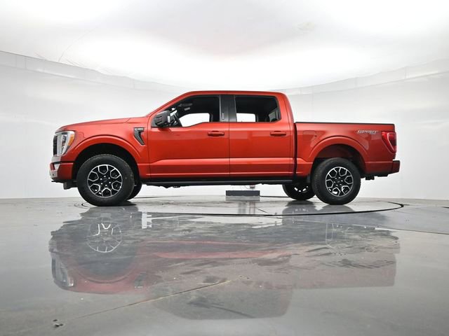 Used 2023 Ford F150 XLT w/ Equipment Group 302A High AWD/4WD image 34