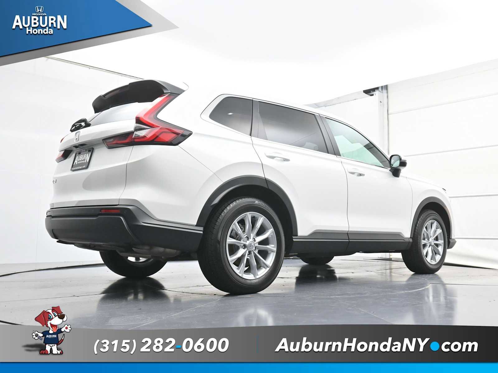 Used 2025 Honda CR-V EX-L image 19