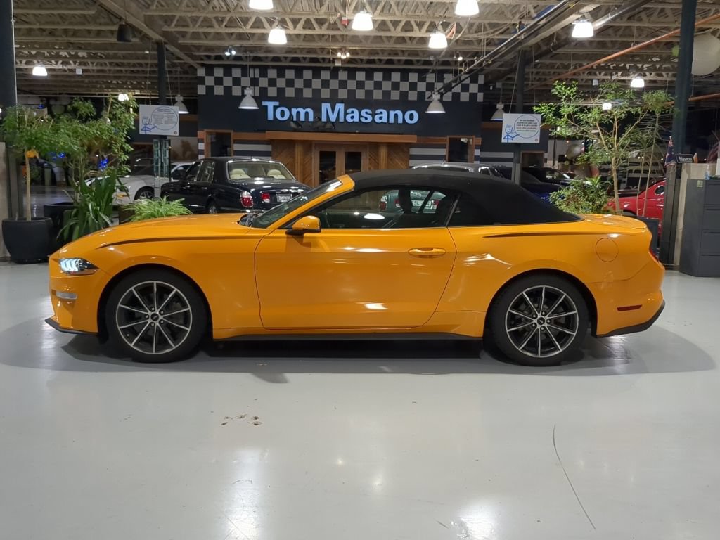 Used 2019 Ford Mustang Premium w/ Equipment Group 201A RWD image 9