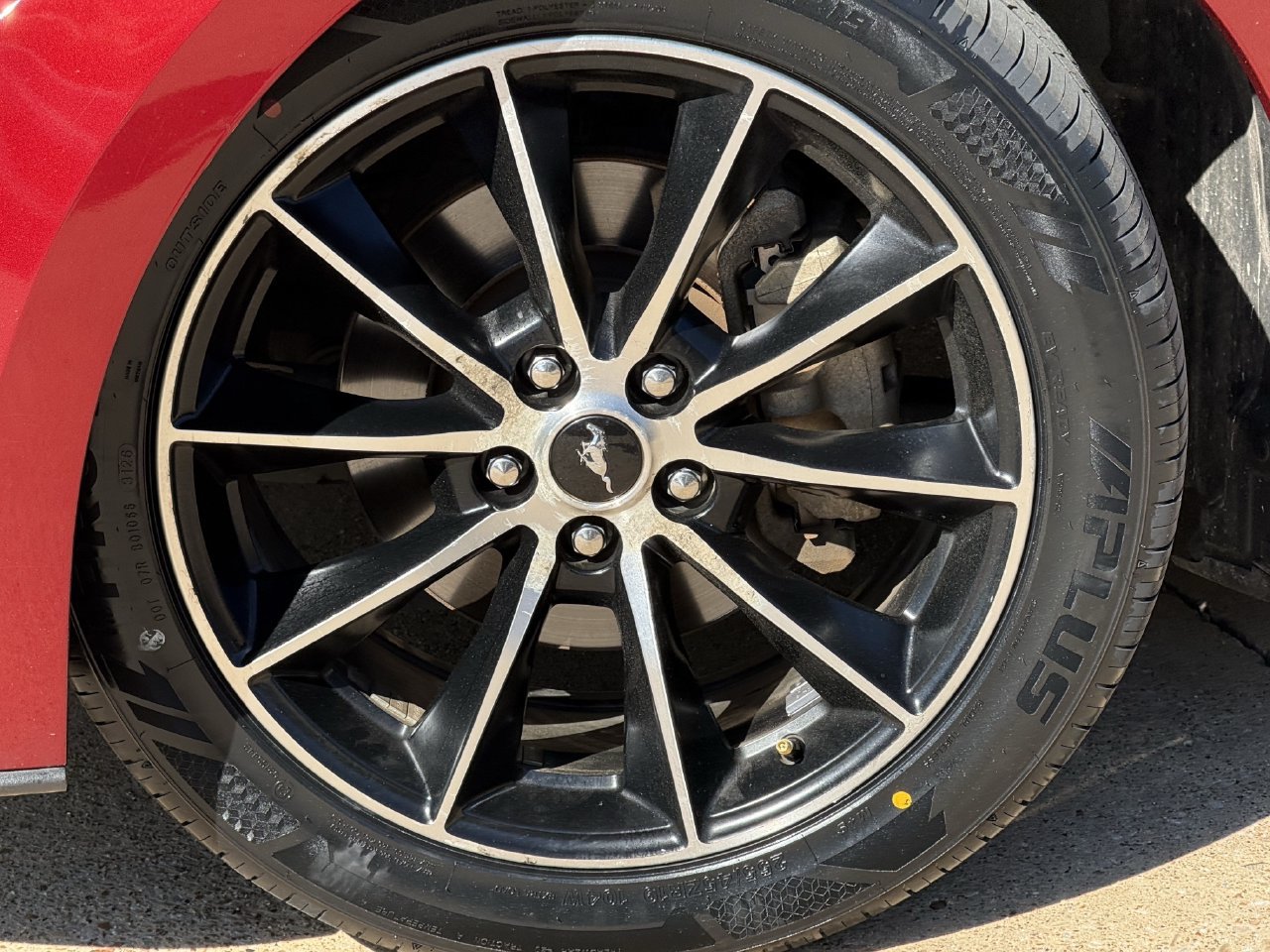 Used 2016 Ford Mustang Premium w/ Wheel & Stripe Package RWD image 8