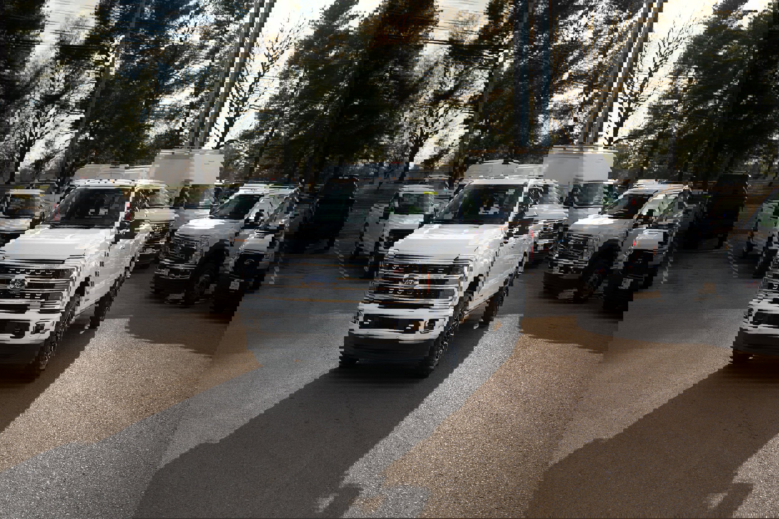 Used 2024 Ford F350 Platinum image 1