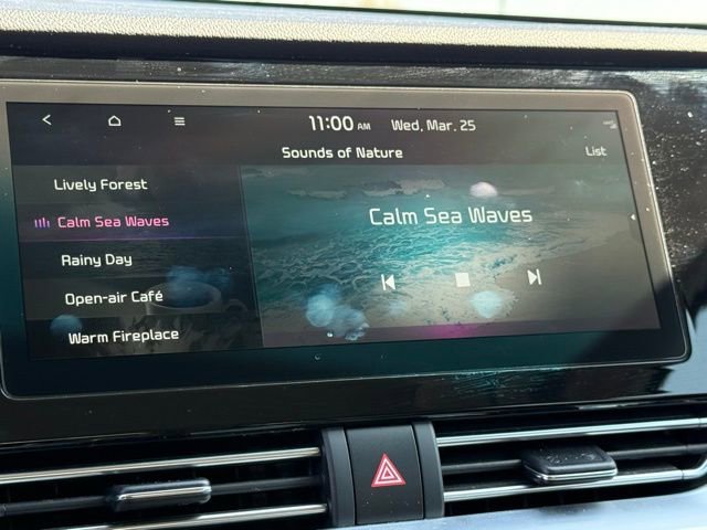 Used 2022 Kia Niro EX Premium image 29