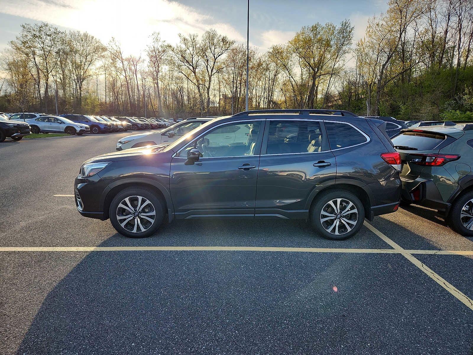 Used 2019 Subaru Forester Limited image 6