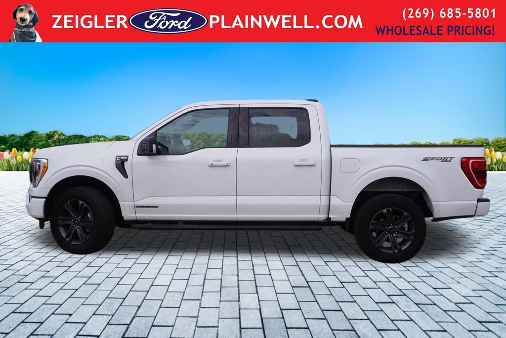 Used 2023 Ford F150 XLT w/ Equipment Group 302A High image 2